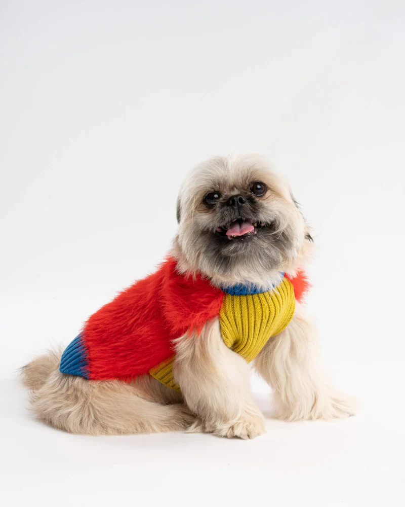 Faux Fur Dog Sweater in Poppy (FINAL SALE) - Image 5