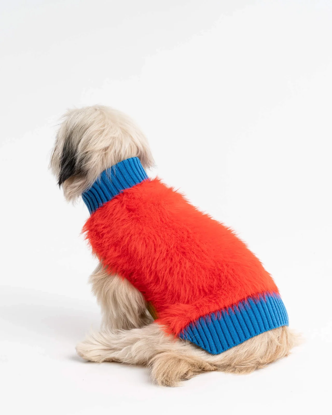 Faux Fur Dog Sweater in Poppy (FINAL SALE) - Image 6