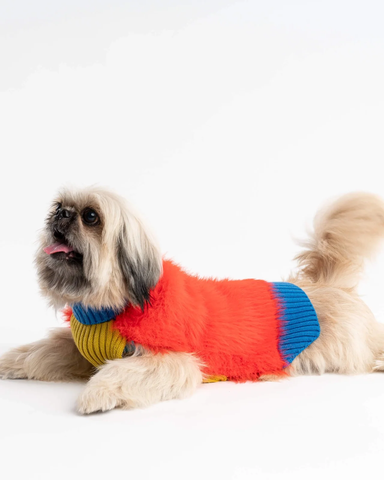 Faux Fur Dog Sweater in Poppy (FINAL SALE) - Image 9