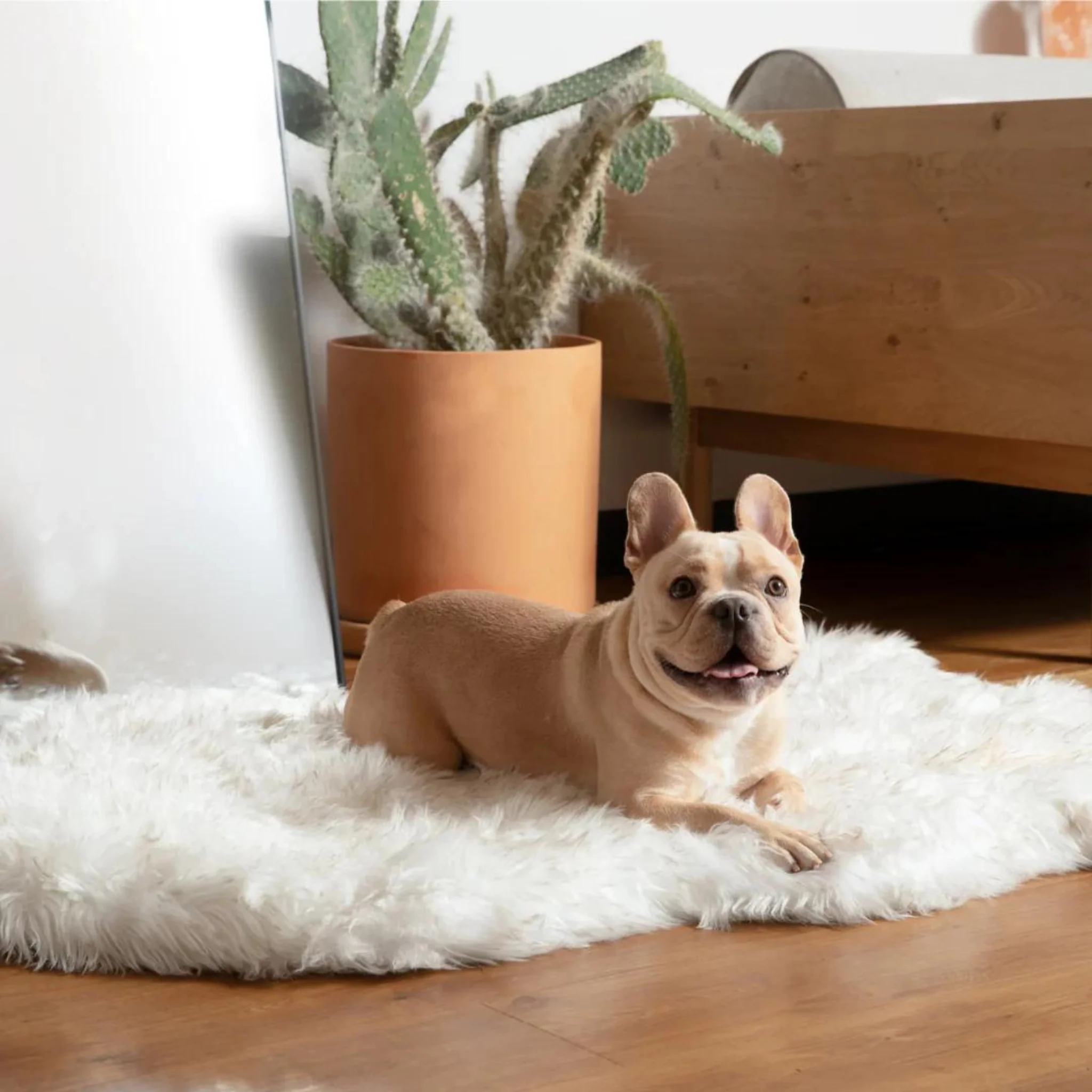 Faux Fur Orthopedic Dog Bed - Curve White with Brown Accents (CLEARANCE) - Image 2