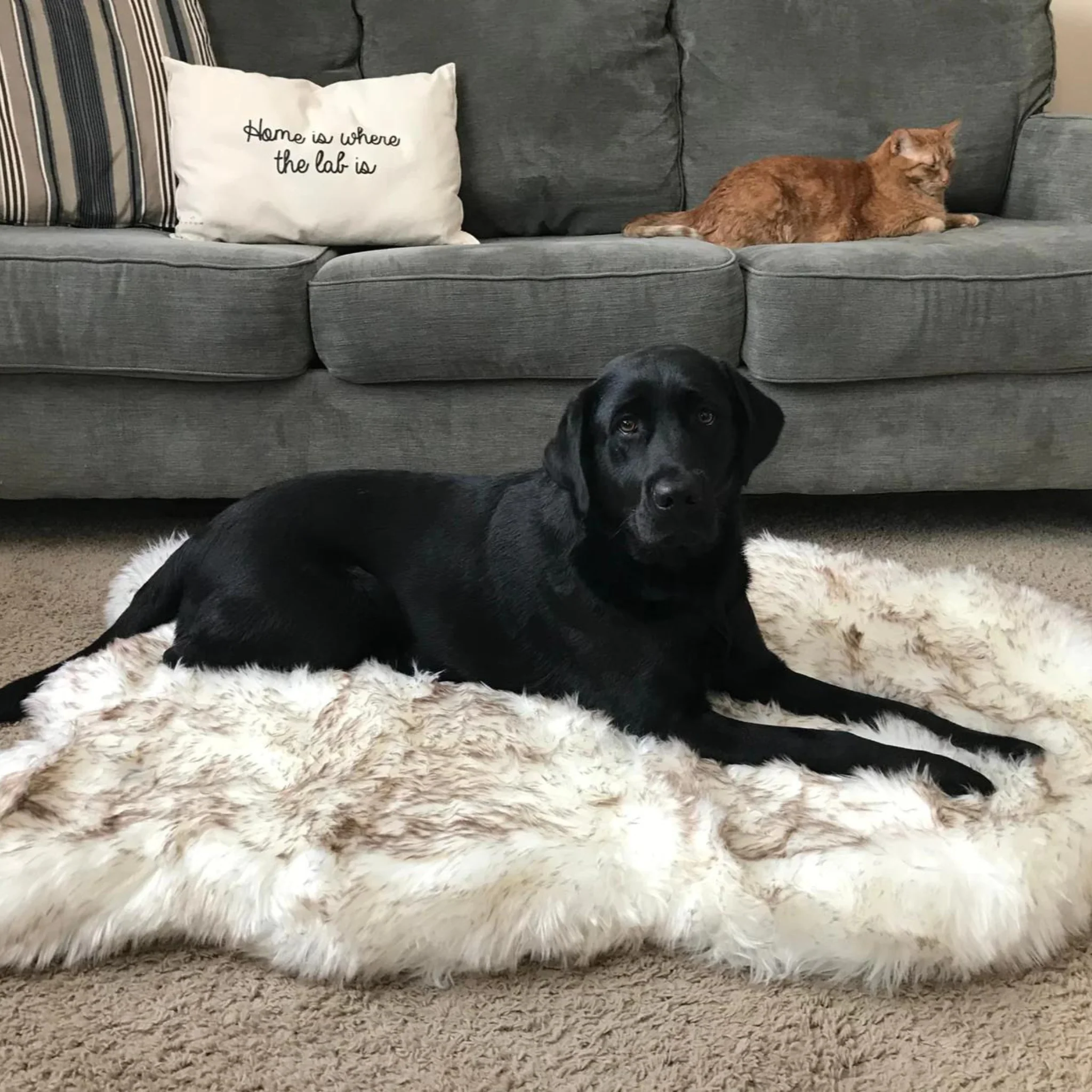 Faux Fur Orthopedic Dog Bed - Curve White with Brown Accents (CLEARANCE) - Image 3