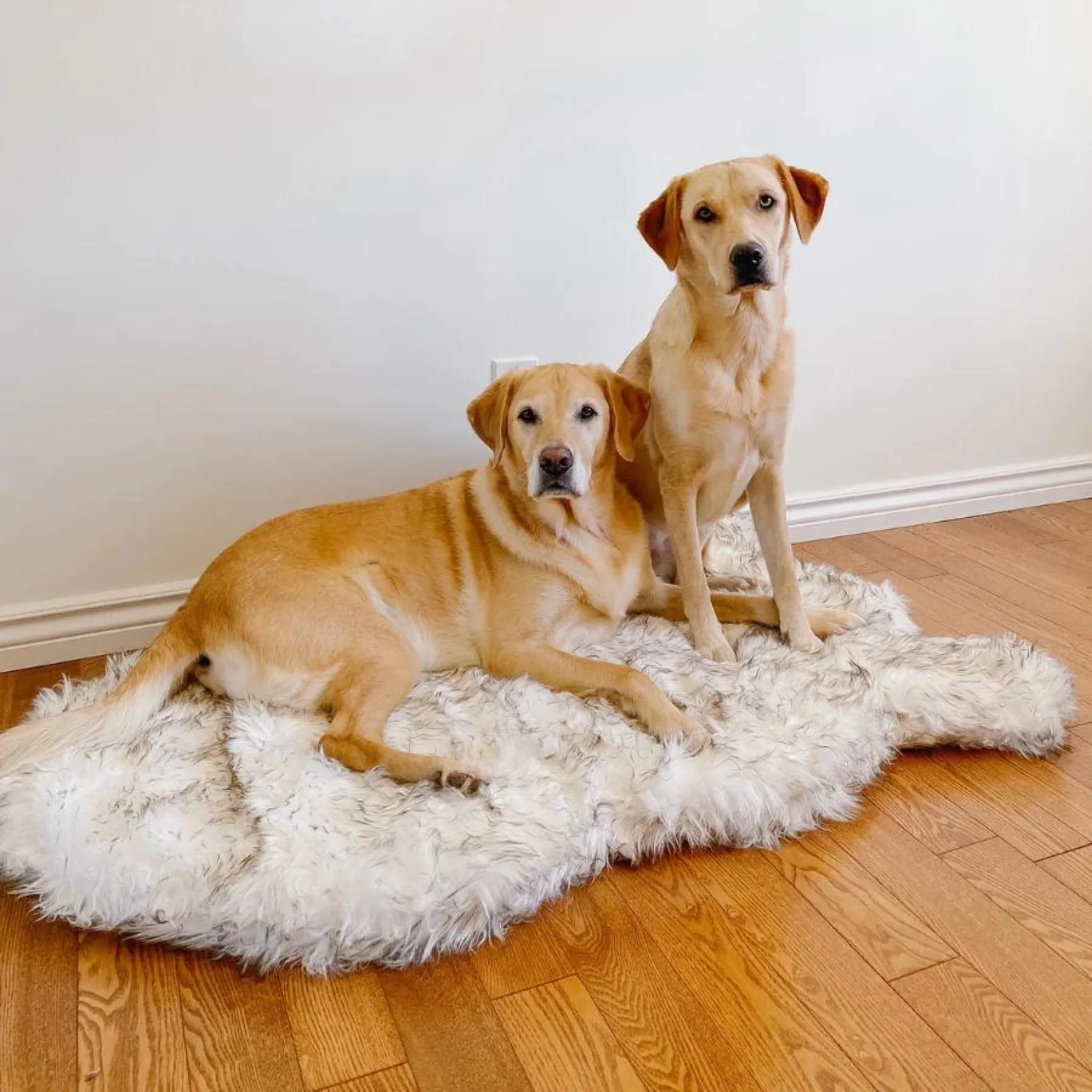 Faux Fur Orthopedic Dog Bed - Curve White with Brown Accents (CLEARANCE) - Image 4