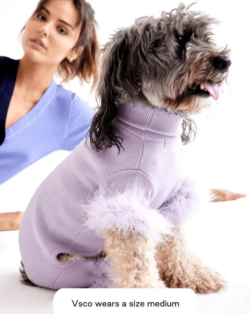 Feather Knit Dog Onesie in Lavender (FINAL SALE) - Image 3