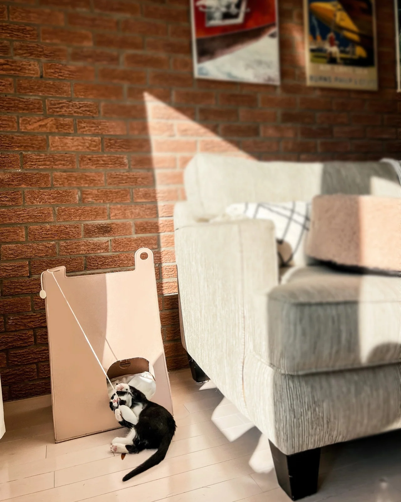 Felt Cat Cave (FINAL SALE) - Image 7