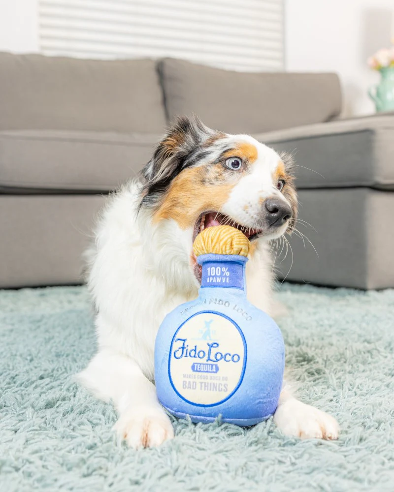 Fido Loco Tequila Squeaky Plush Dog Toy - Image 4