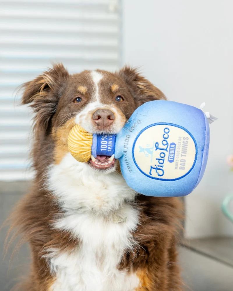 Fido Loco Tequila Squeaky Plush Dog Toy - Image 5