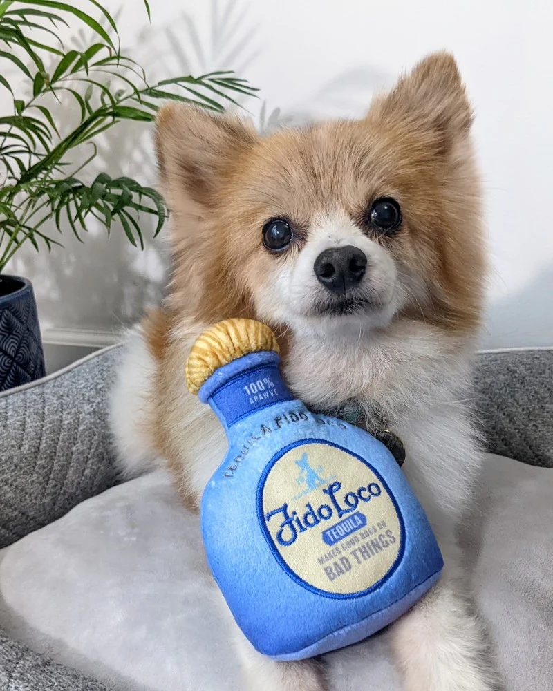 Fido Loco Tequila Squeaky Plush Dog Toy - Image 7