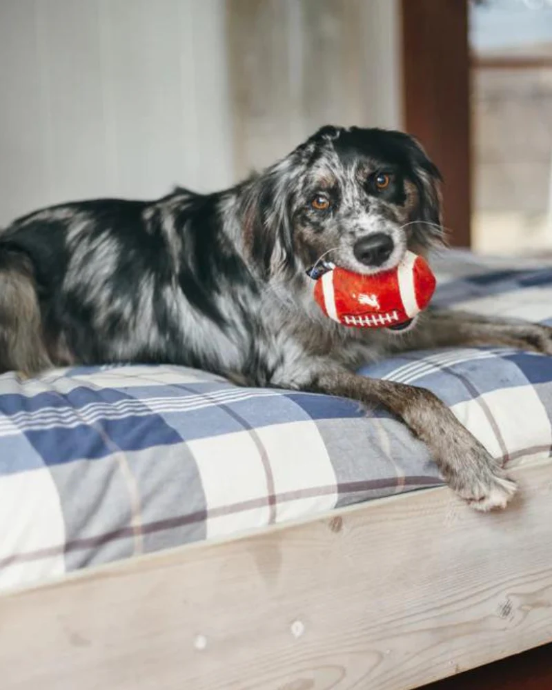 Fido's Football Squeaky Plush Dog Toy - Image 2