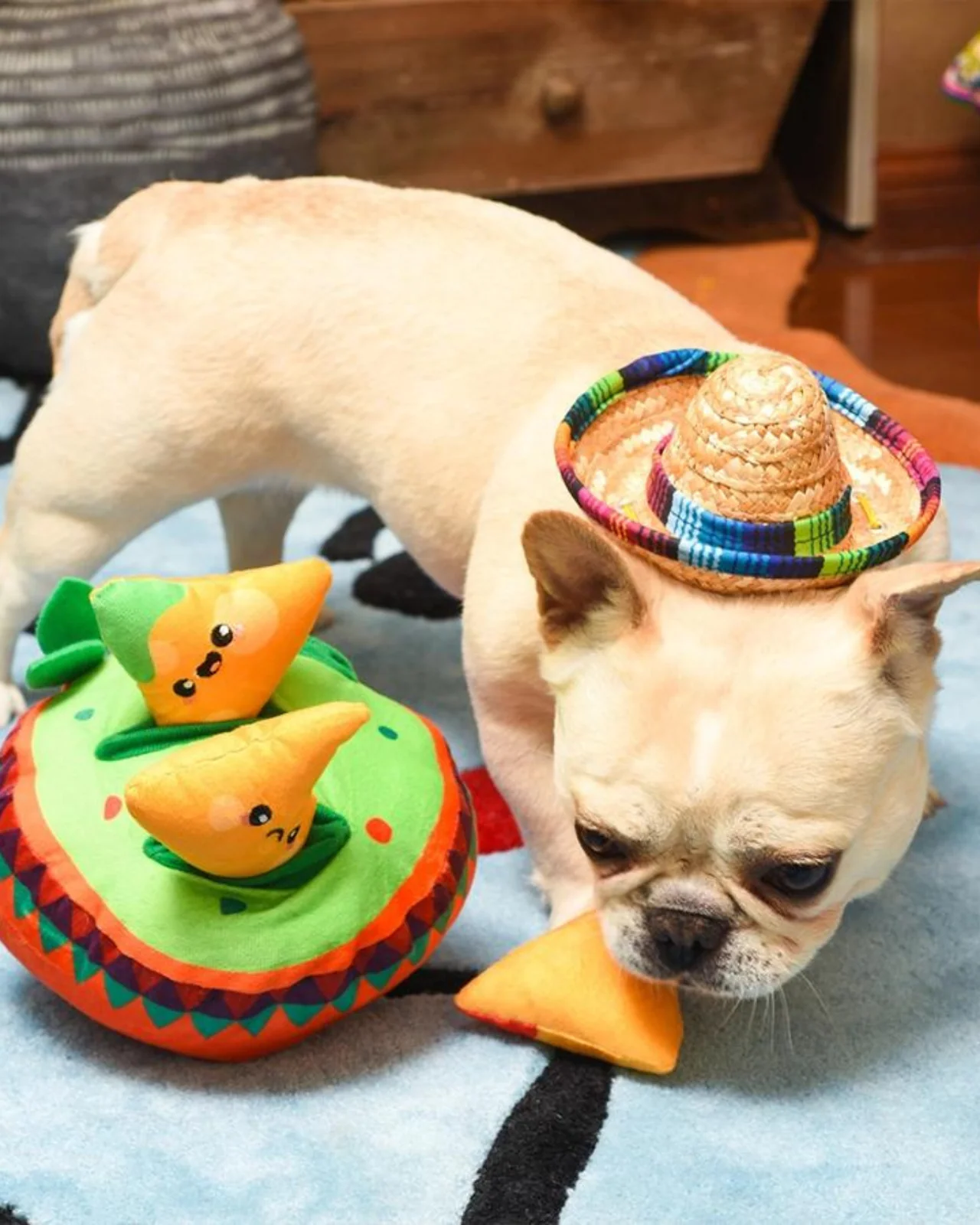 Fiesta Chewsday Nachos Nosework Dog Toy (FINAL SALE) - Image 2