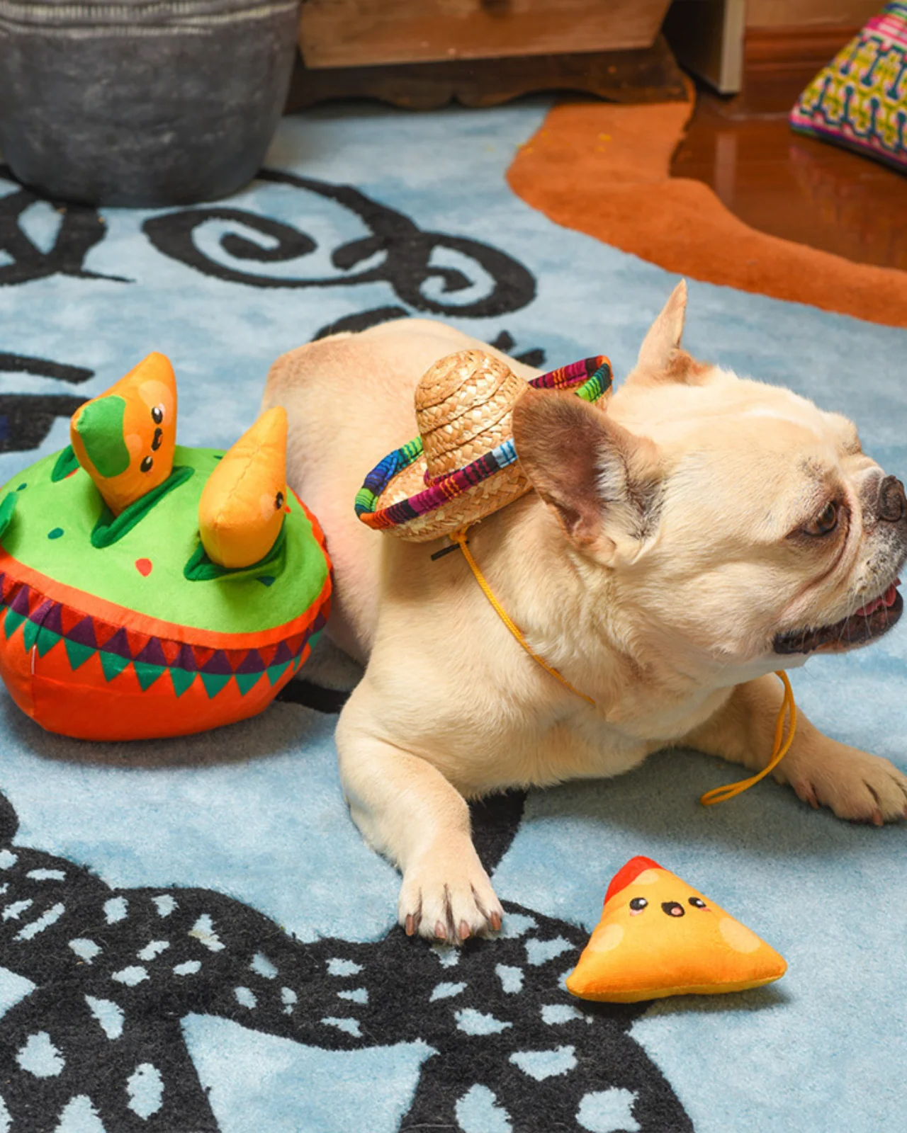 Fiesta Chewsday Nachos Nosework Dog Toy (FINAL SALE) - Image 8