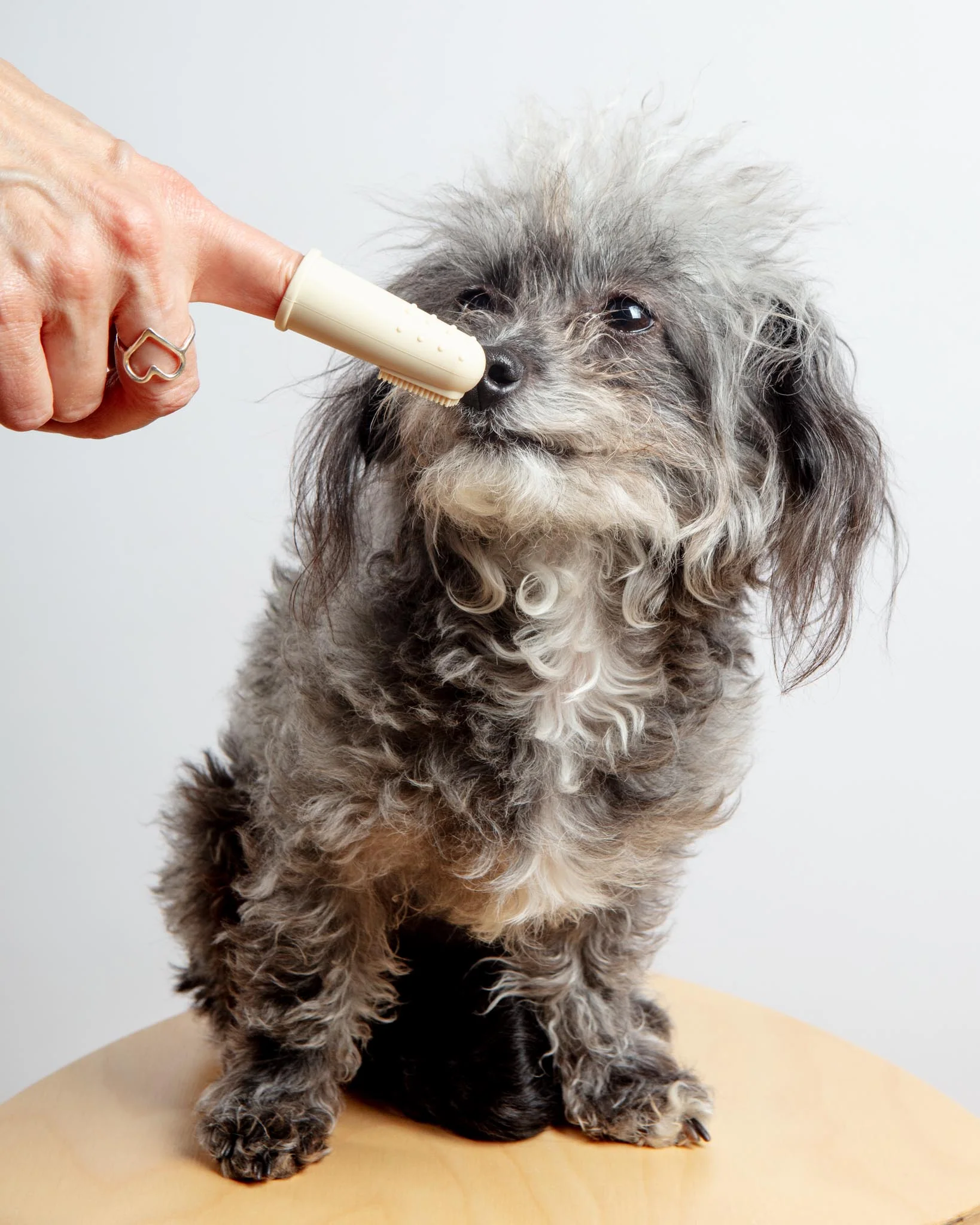 Puppy Polisher Finger Dog Toothbrush - Image 3