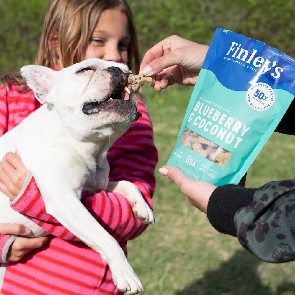 Blueberry & Coconut Crunchy Dog Biscuits - Image 6