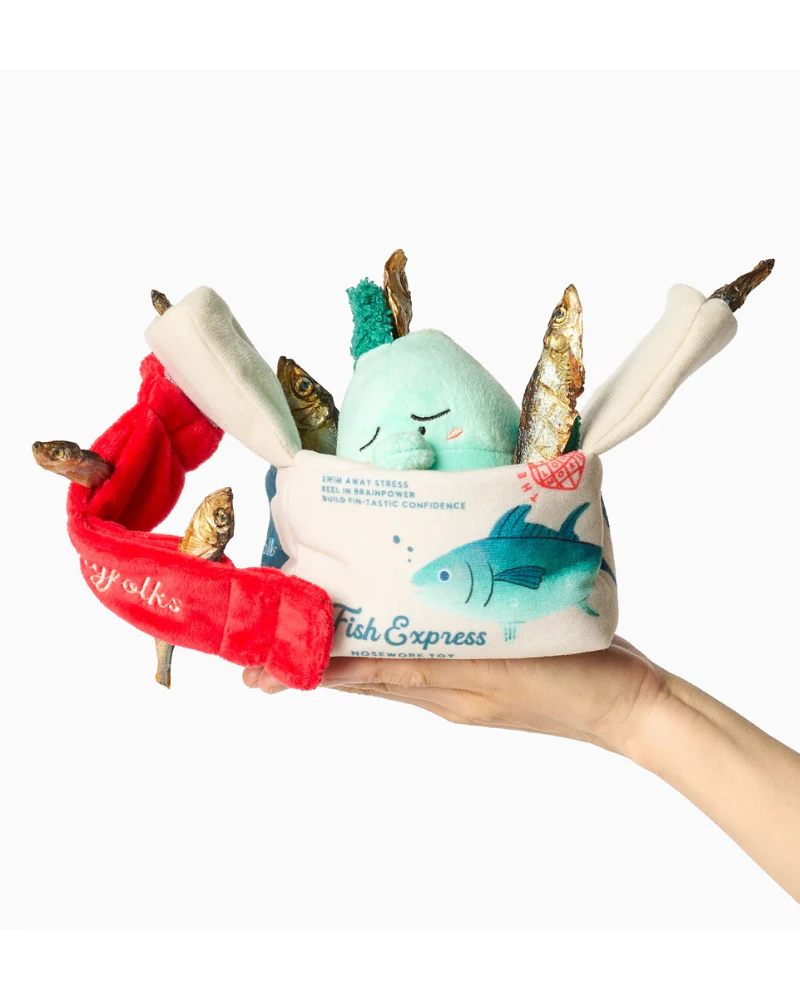 Fish Express Nosework Dog Toy - Image 3