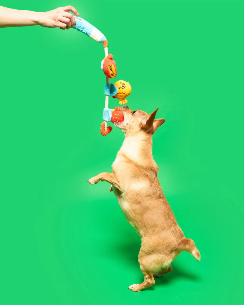 Fishing Nosework & Tug Dog Toy - Image 4