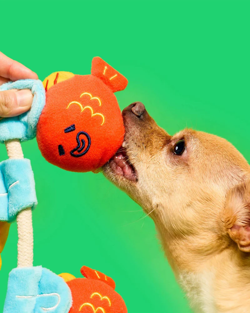 Fishing Nosework & Tug Dog Toy - Image 6