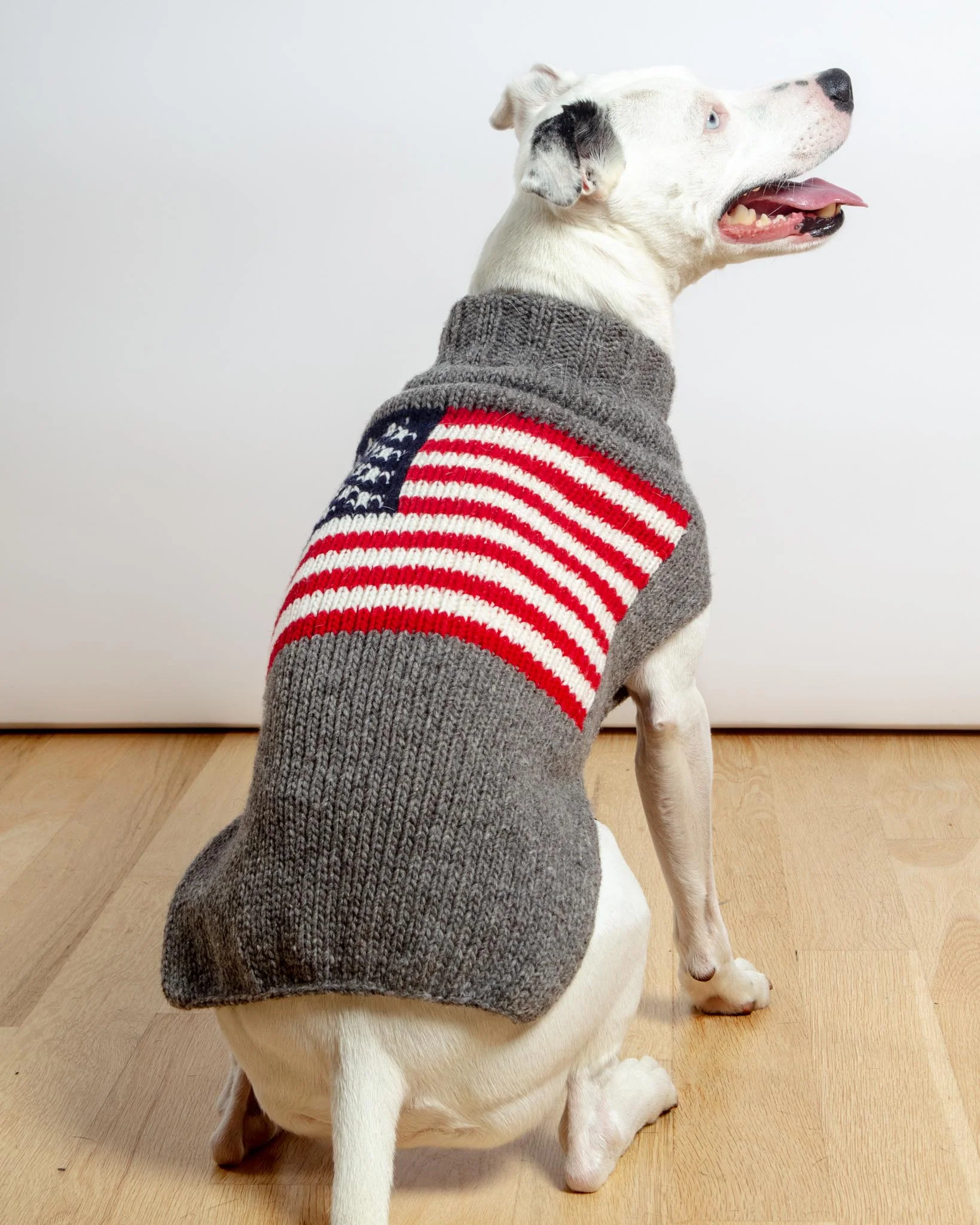 Flag Wool Dog Sweater (FINAL SALE) - Image 3