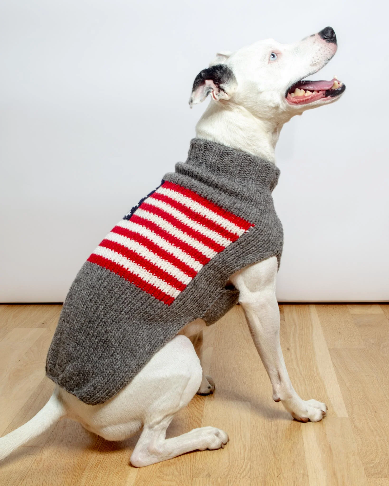 Flag Wool Dog Sweater (FINAL SALE) - Image 4