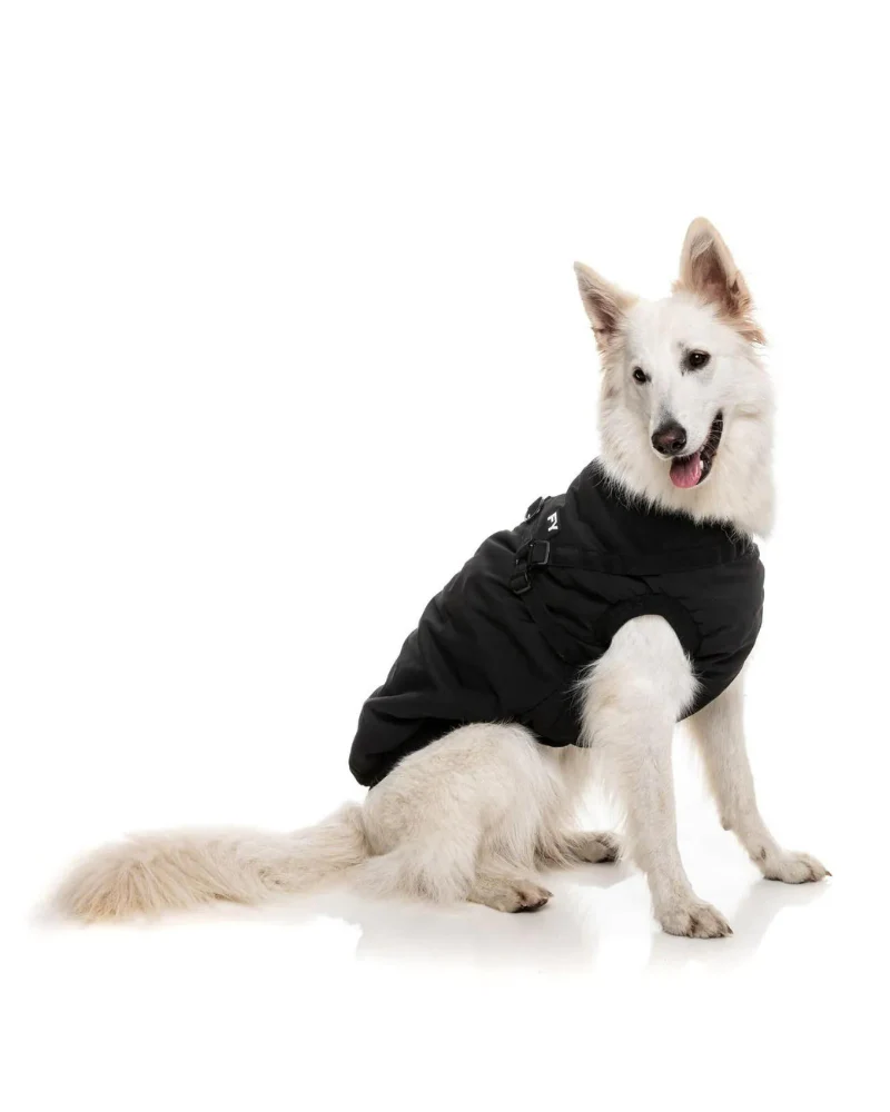 Flash Harness Jacket in Black (FINAL SALE) - Image 10