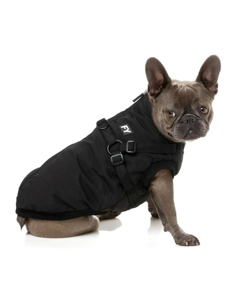 Flash Harness Jacket in Black (FINAL SALE) - Image 3