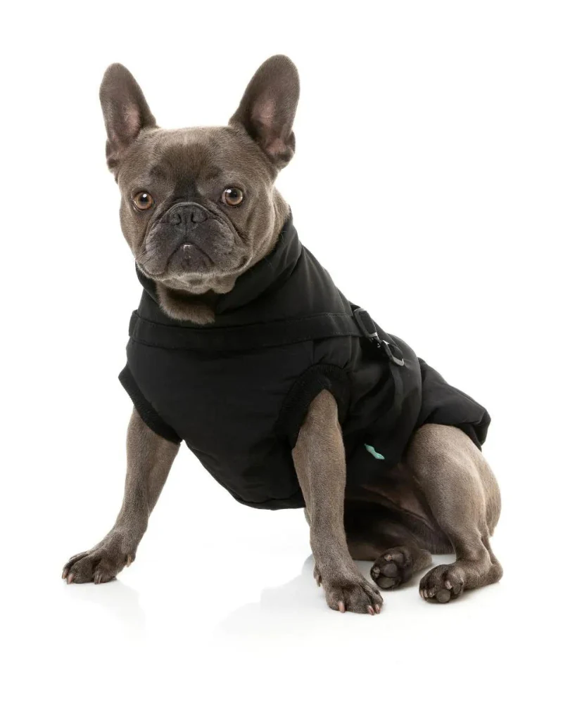 Flash Harness Jacket in Black (FINAL SALE) - Image 4