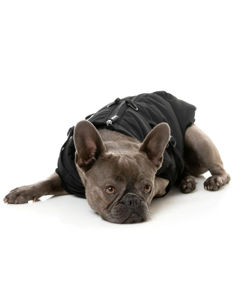 Flash Harness Jacket in Black (FINAL SALE) - Image 5