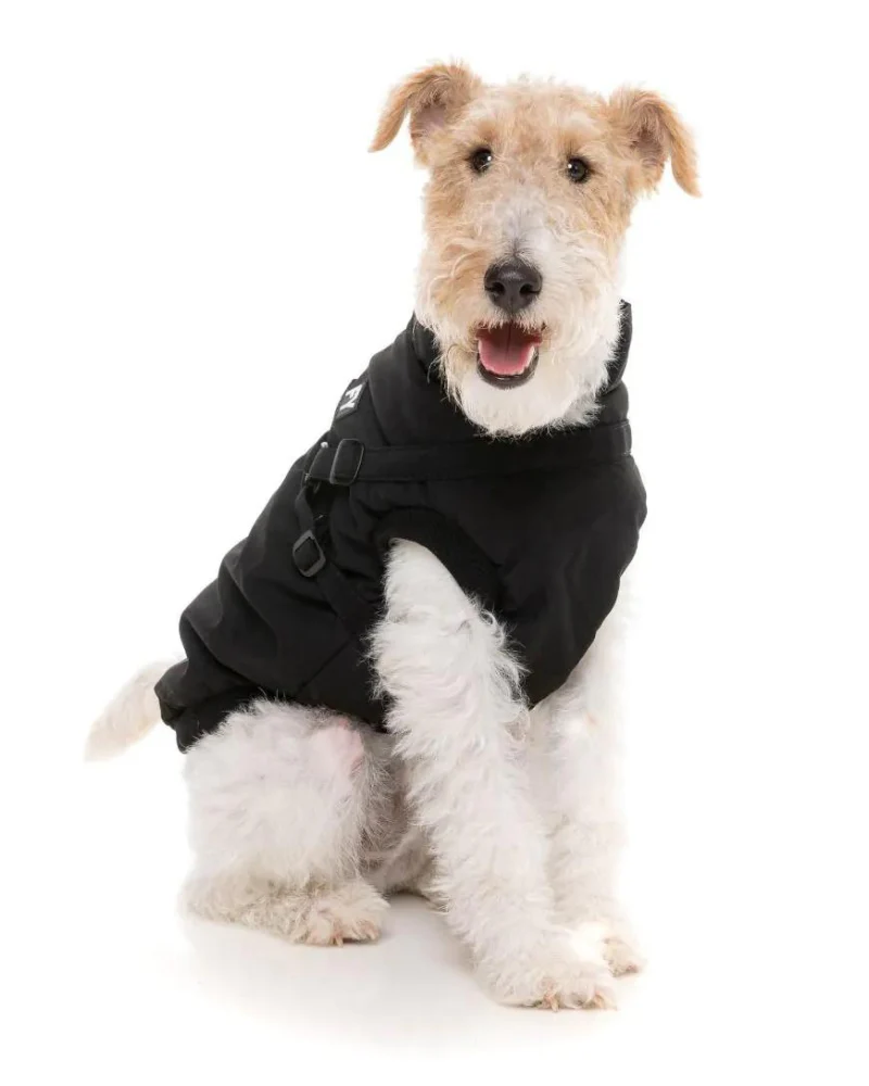 Flash Harness Jacket in Black (FINAL SALE) - Image 8