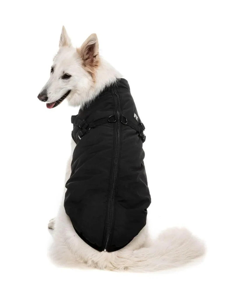 Flash Harness Jacket in Black (FINAL SALE) - Image 9