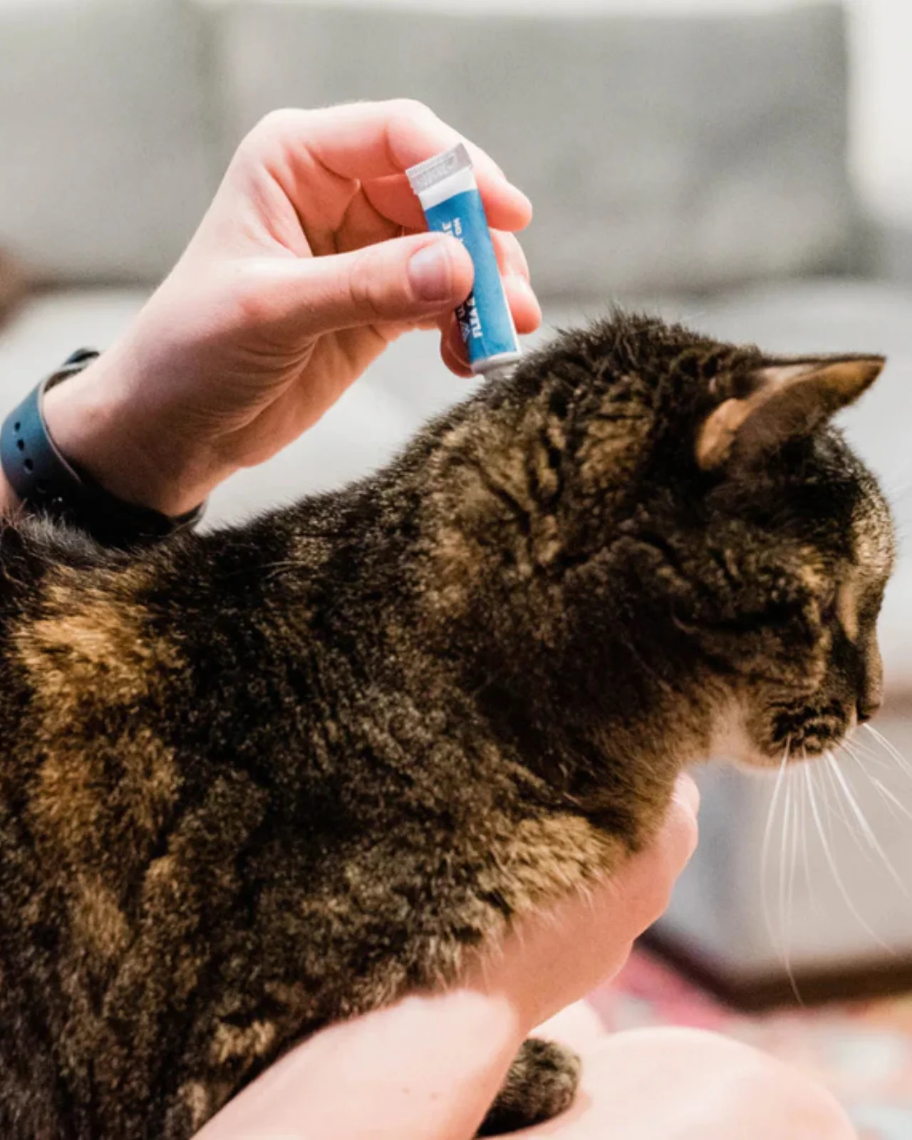 Flea & Tick Spot On for Dogs + Cats with Natural Essential Oils - Image 3