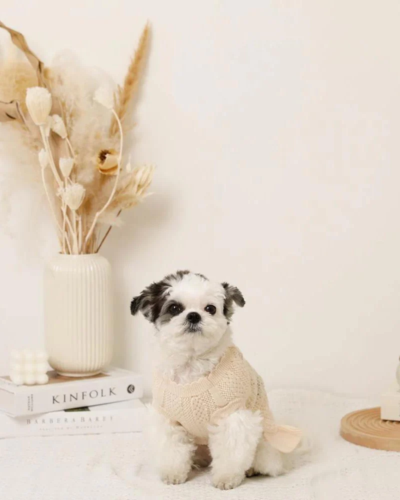 Floral Knit Dog Dress - Image 2