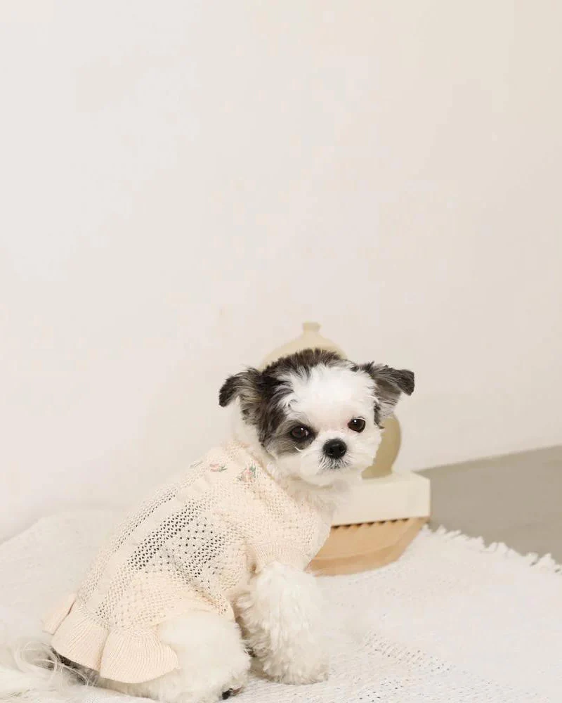 Floral Knit Dog Dress - Image 4