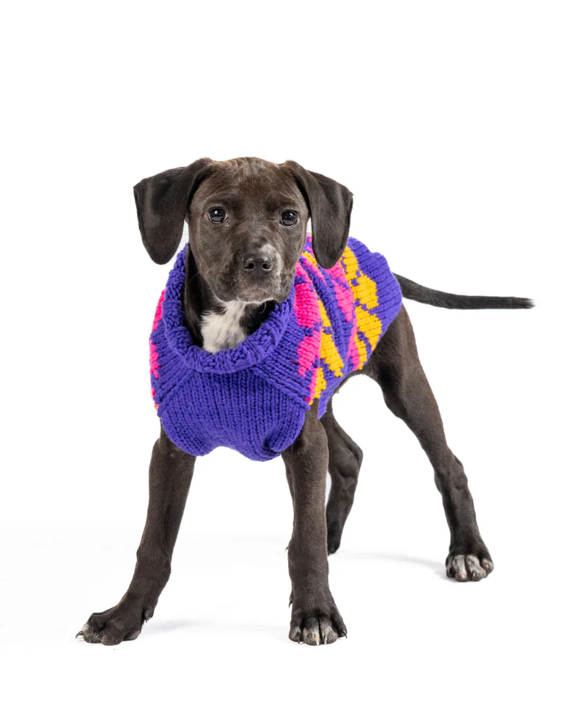 Flower Power Wool Dog Sweater (FINAL SALE) - Image 10