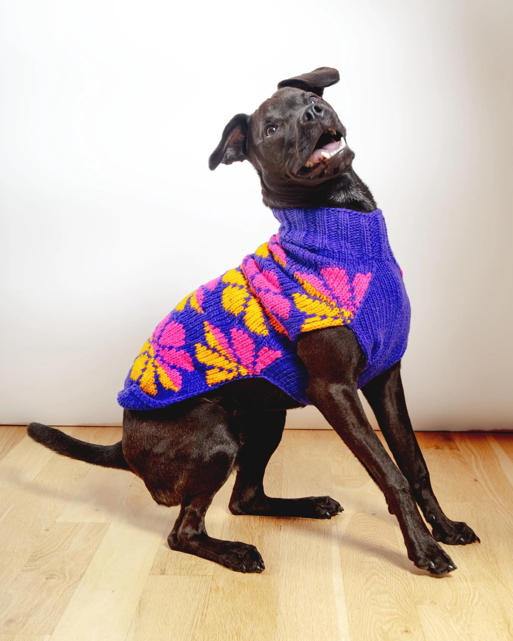 Flower Power Wool Dog Sweater (FINAL SALE) - Image 2