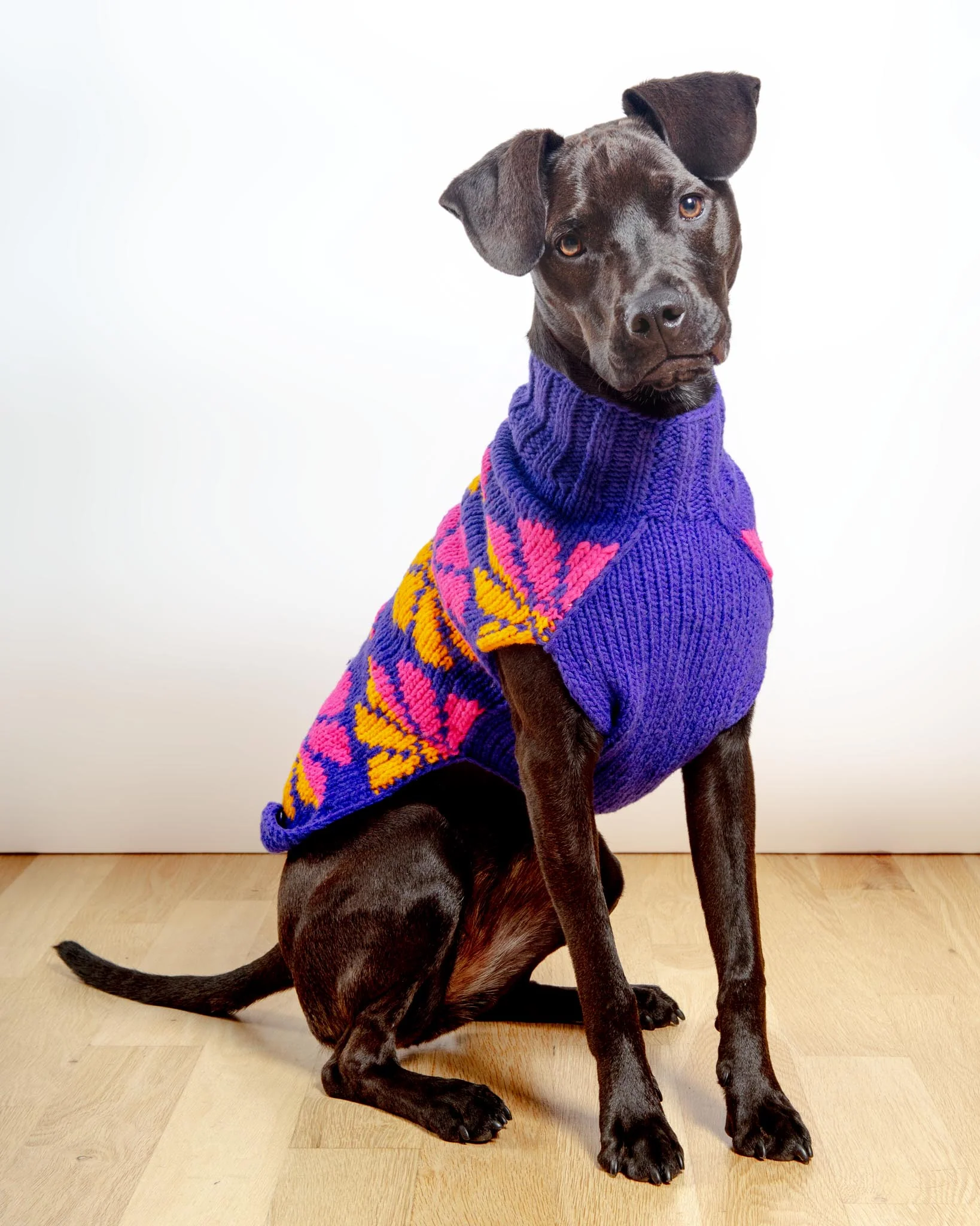 Flower Power Wool Dog Sweater (FINAL SALE) - Image 3