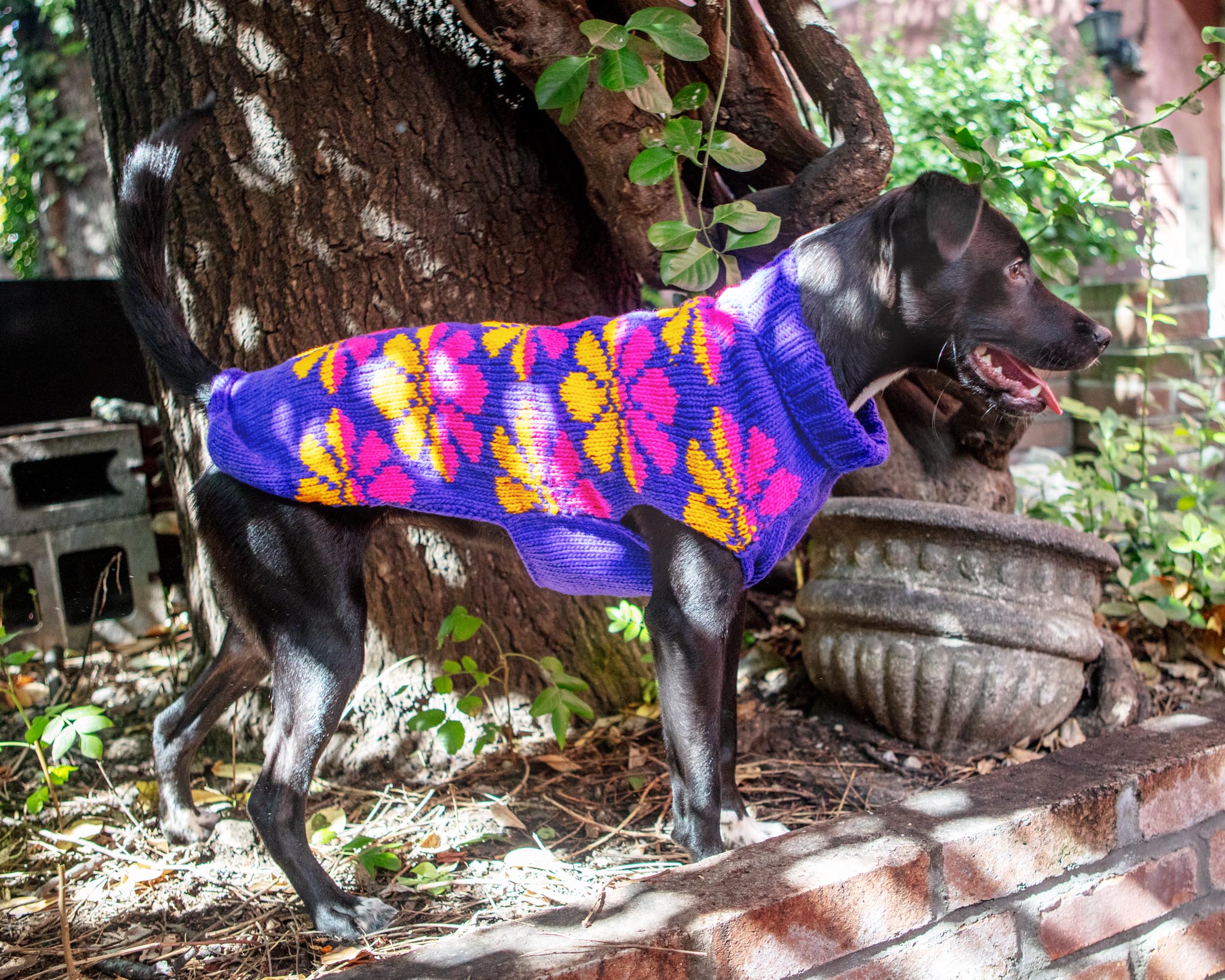 Flower Power Wool Dog Sweater (FINAL SALE) - Image 7