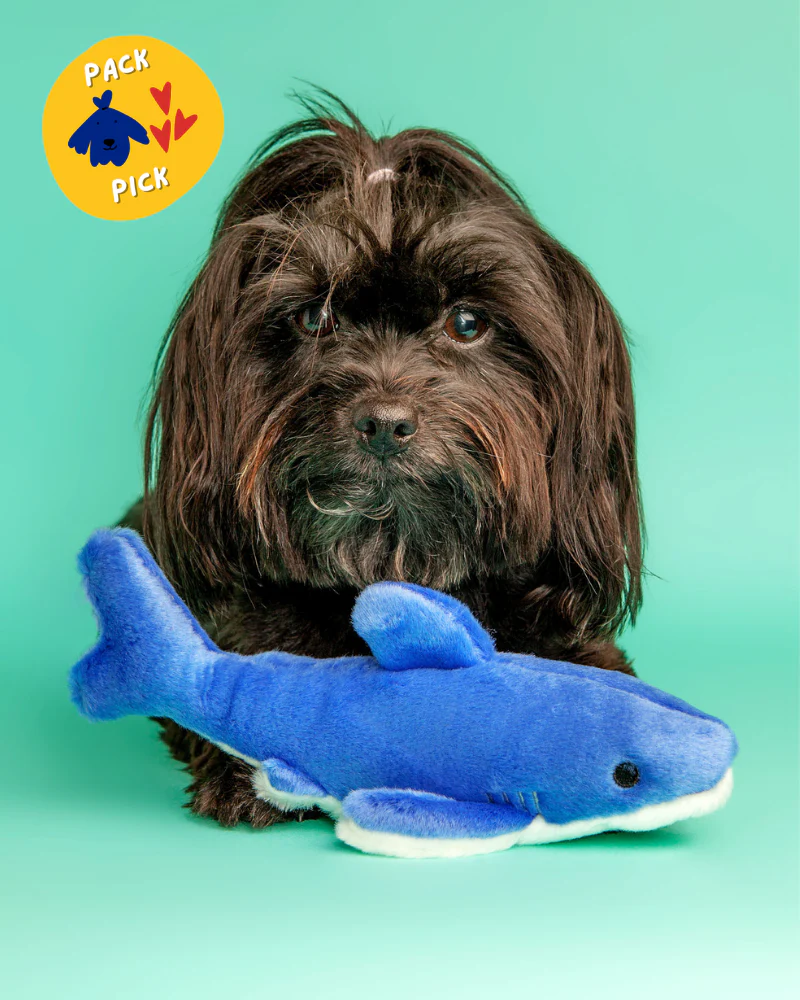 Baby Bruce Shark Plush Dog Toy