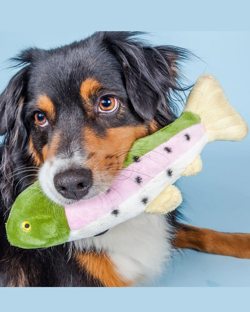 Burt the Lake Trout Dog Toy - Image 3