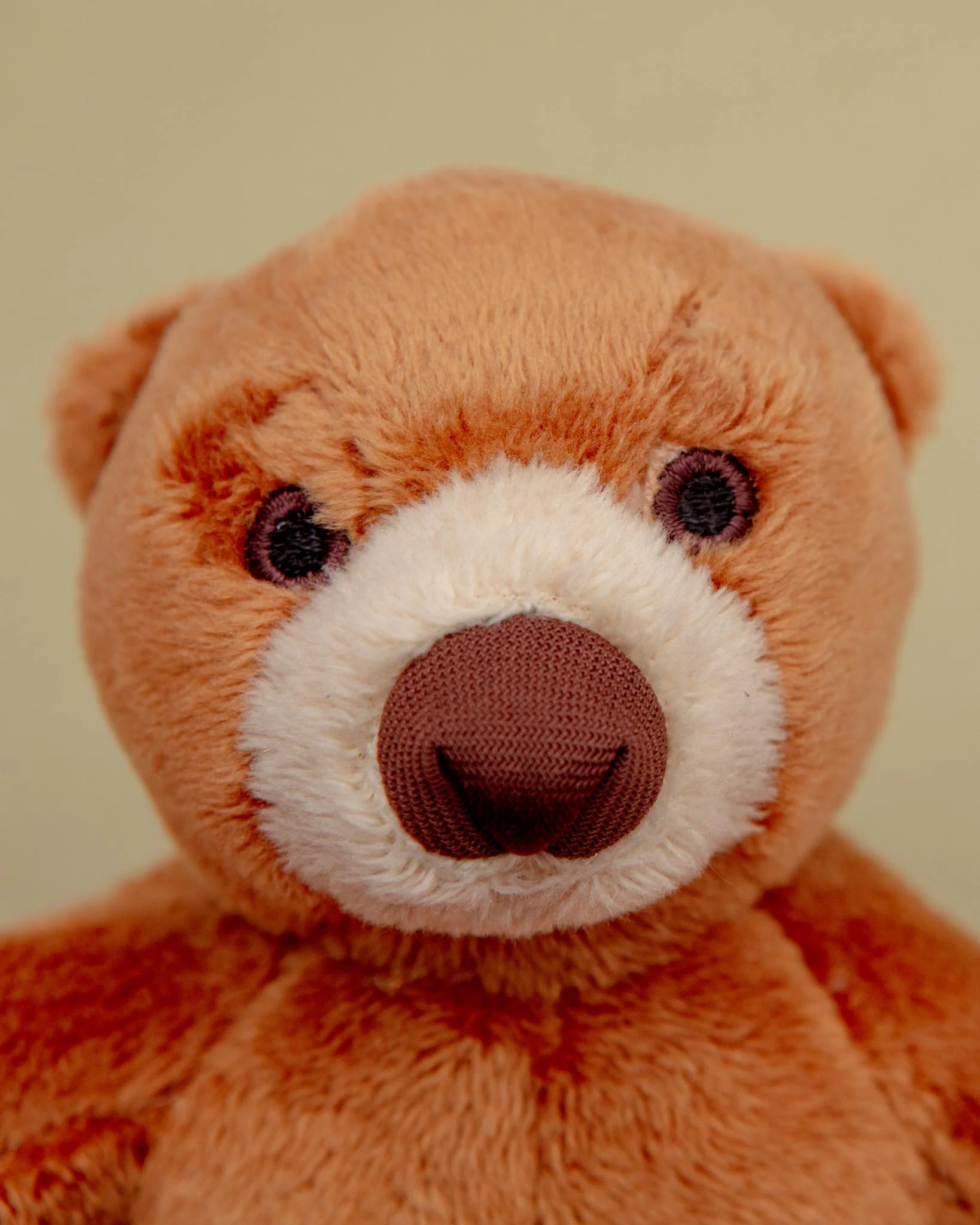 Cubby Bear Plush Squeaky Dog Toy - Image 2