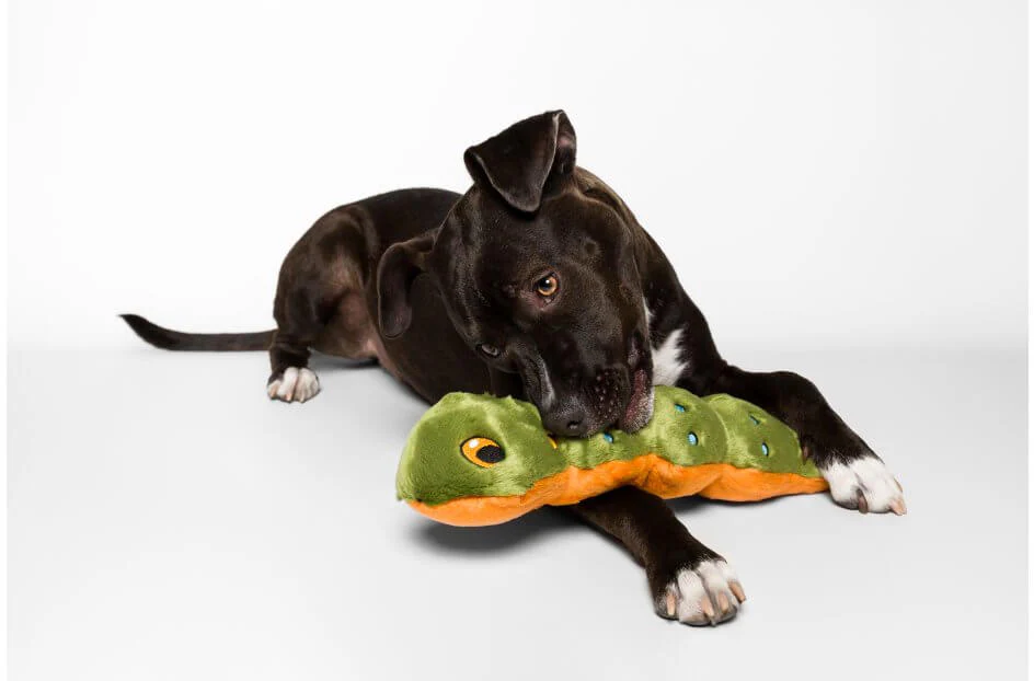 FLUFF & TUFF | Katie Caterpillar Toy - Image 3