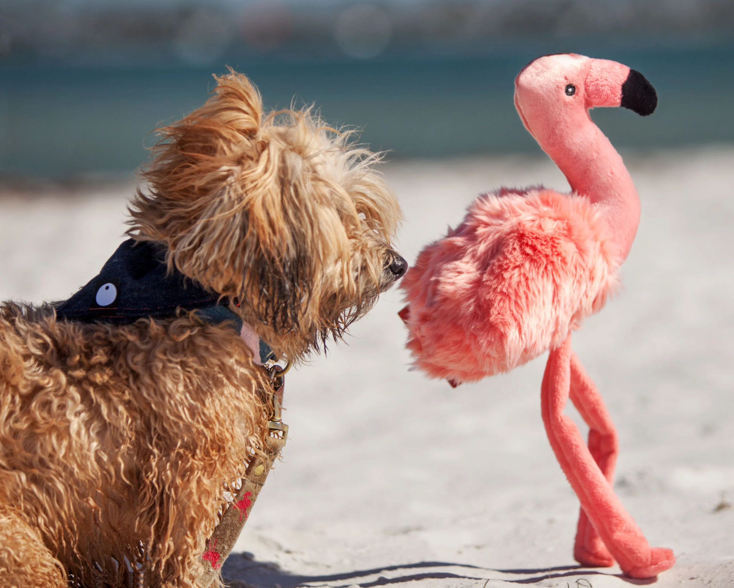 Lola the Flamingo Dog Toy - Image 2