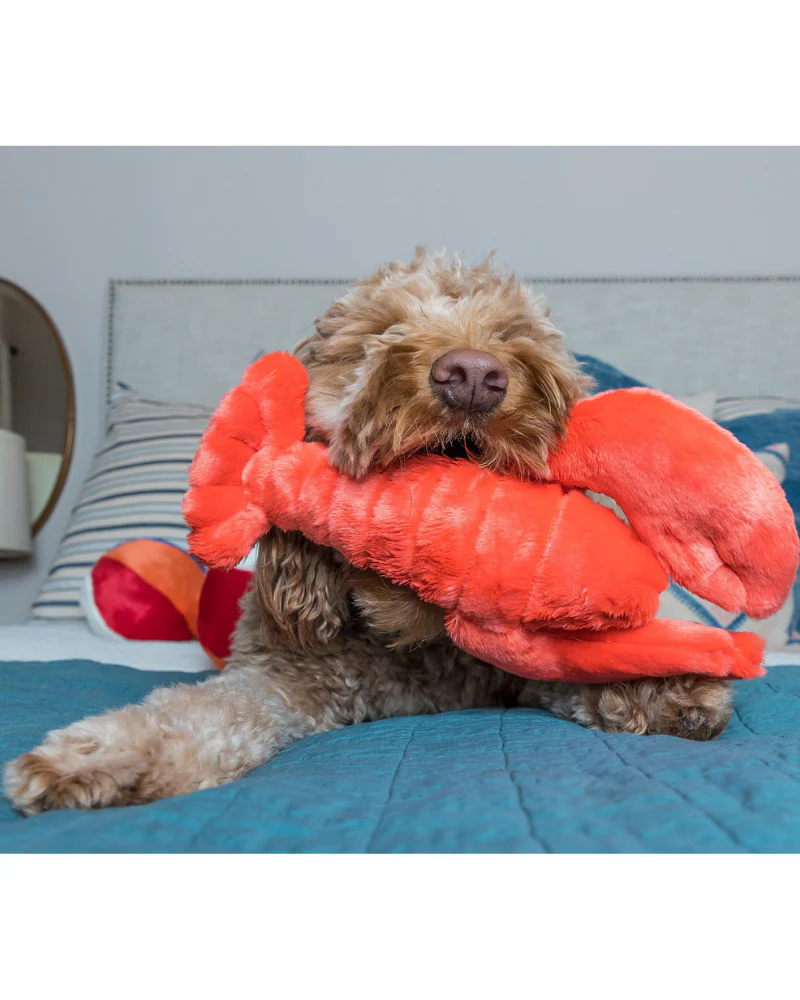 Manny the Lobster Plush Dog Toy - Image 5