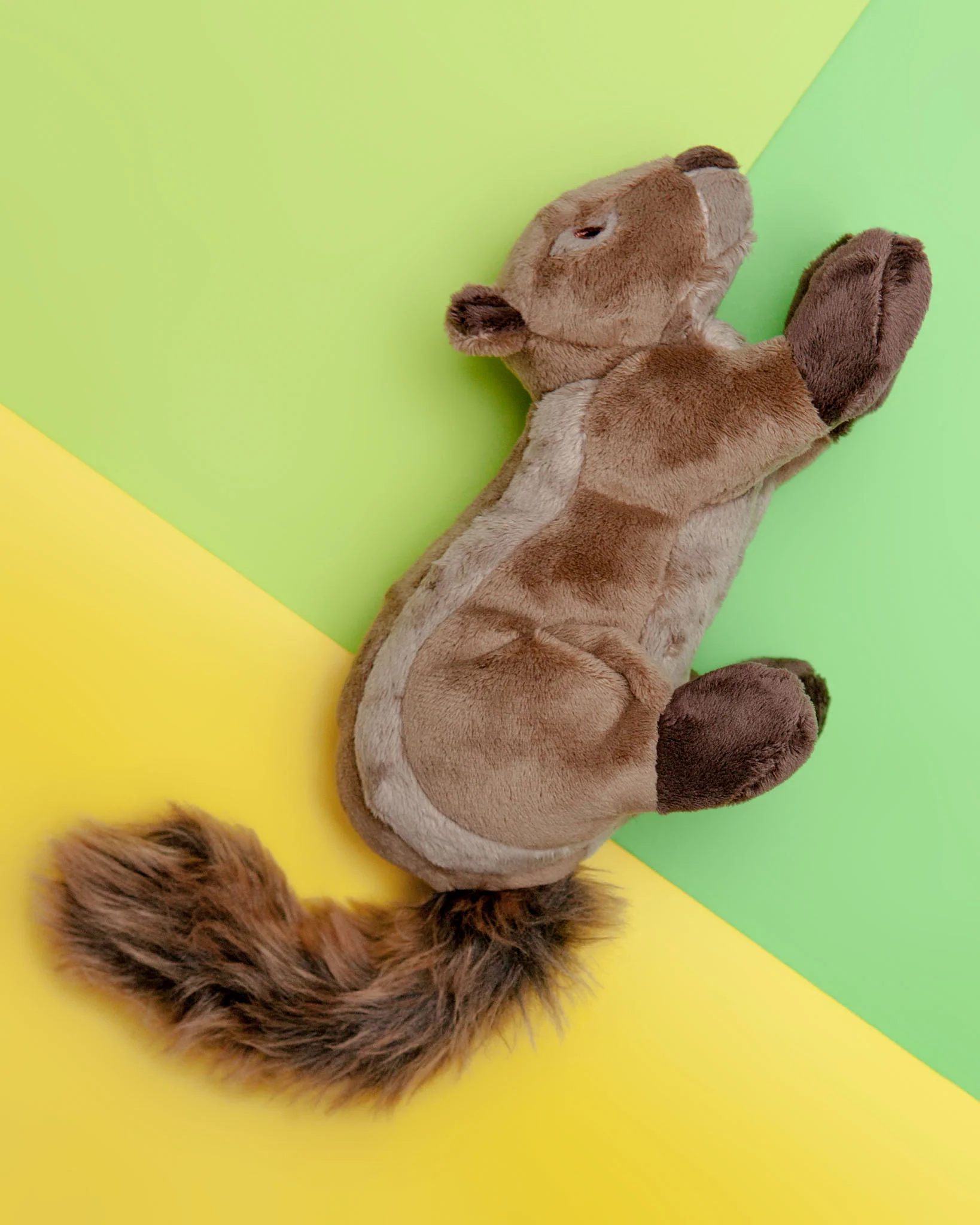 Peanut the Squirrel Squeaky Dog Plush Toy - Image 6