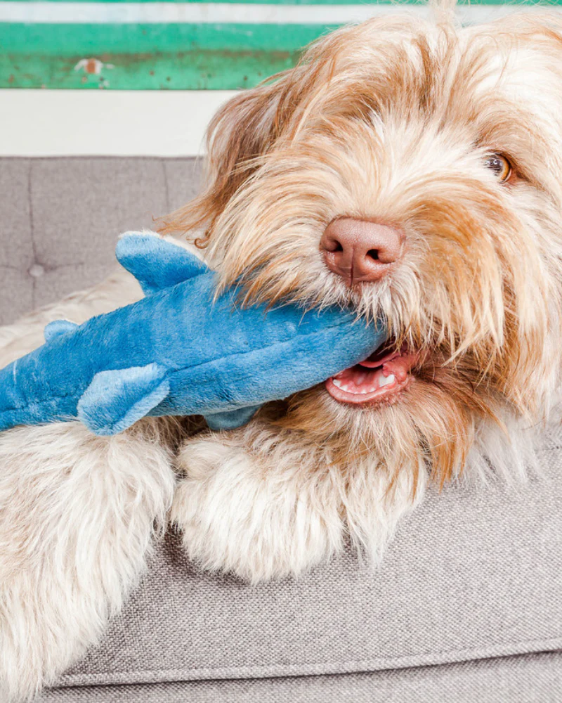 Tank the Shark Plush Squeaky Dog Toy - Image 8