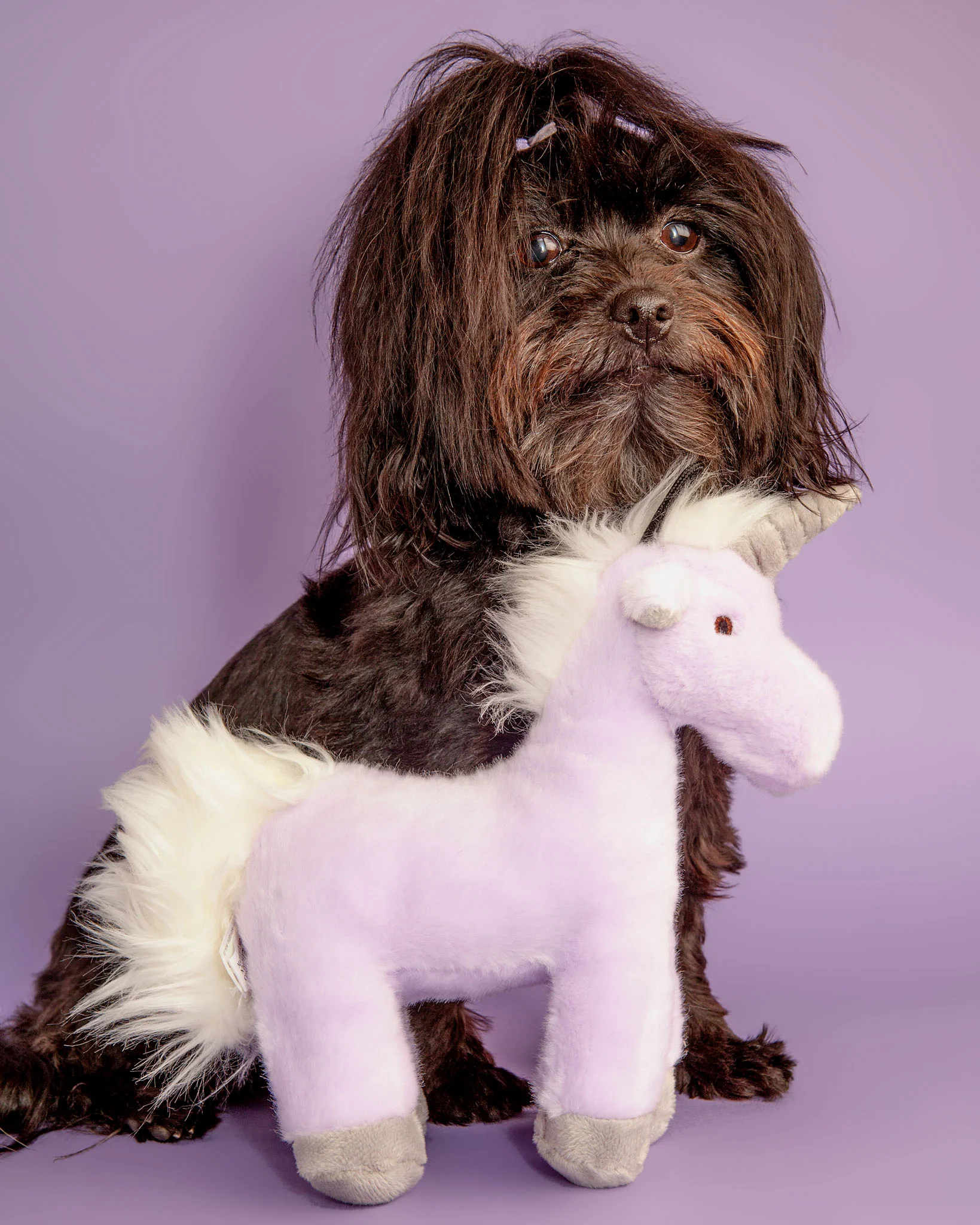 Violet Unicorn Plush Dog Toy - Image 2
