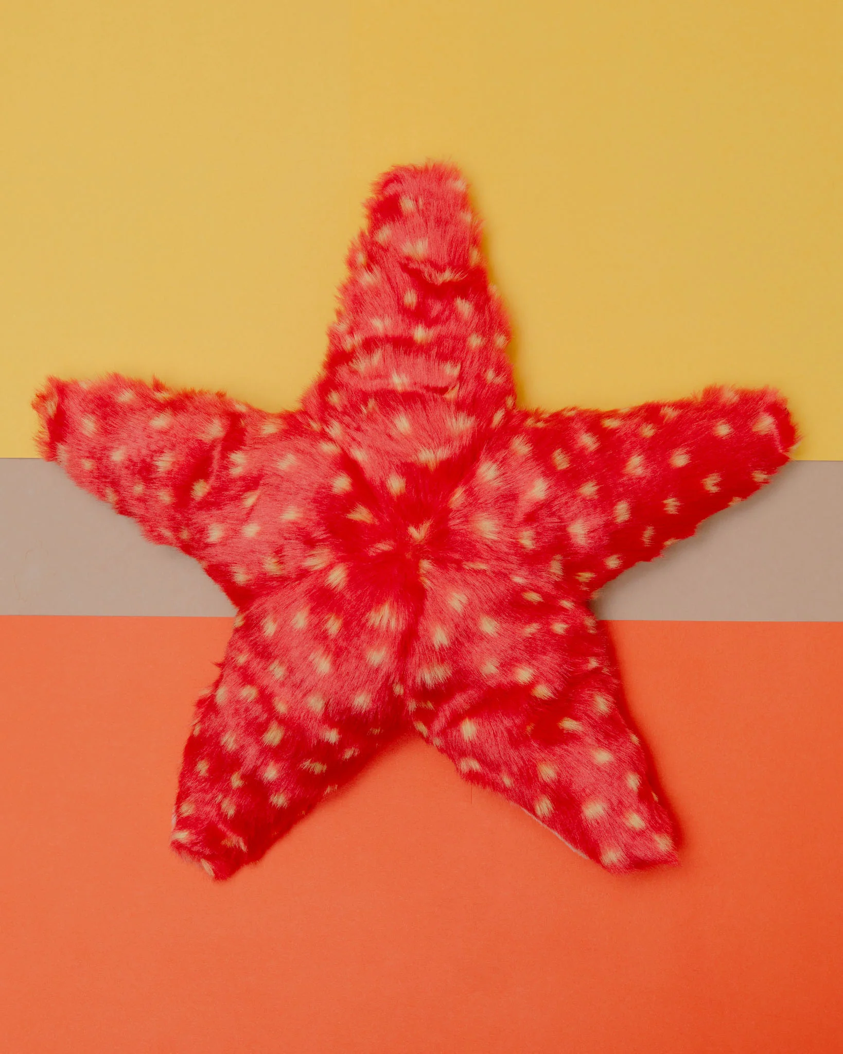 Ziggy Starfish Plush Dog Toy - Image 2