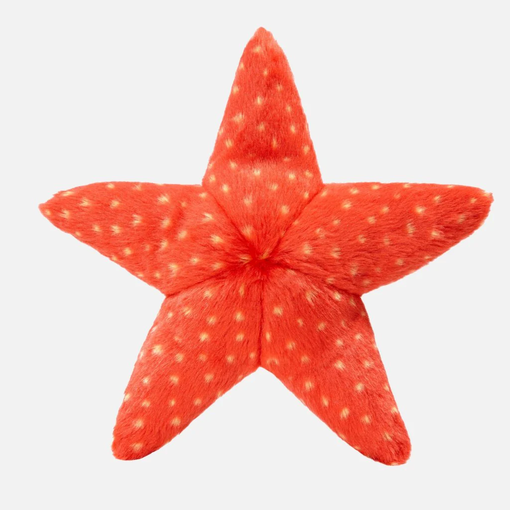 Ziggy Starfish Plush Dog Toy - Image 4