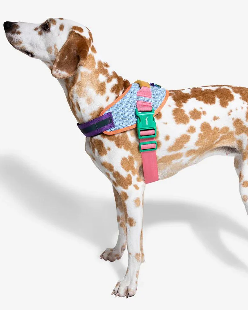 Flyharness in Galaxy for Dogs (FINAL SALE) - Image 7