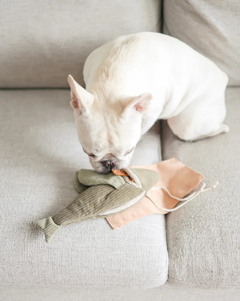 Flying Fish Snuffle + Burrow Plush Dog Toy - Image 3
