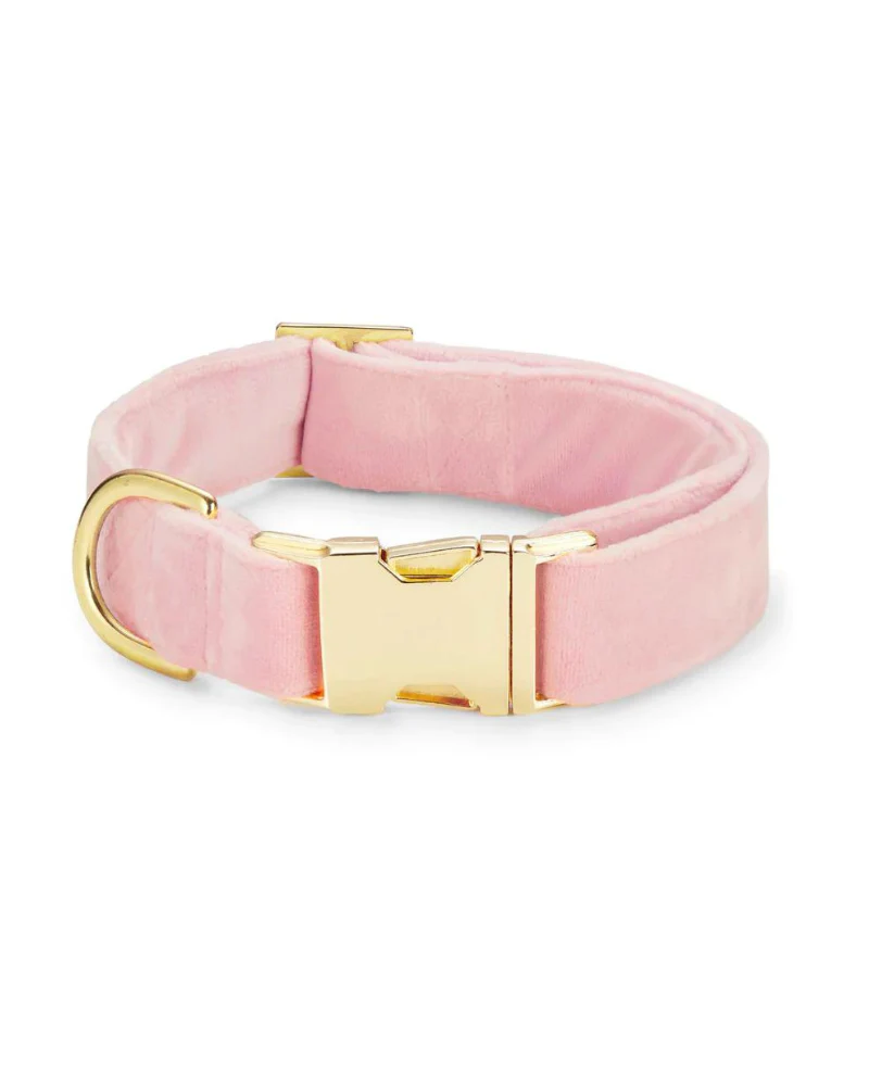 Blush Pink Velvet Dog Collar (Made in the USA)