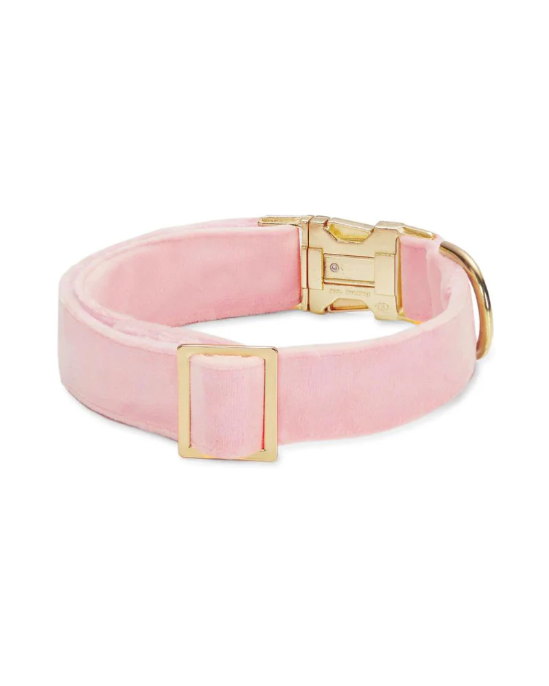 Blush Pink Velvet Dog Collar (Made in the USA) - Image 2
