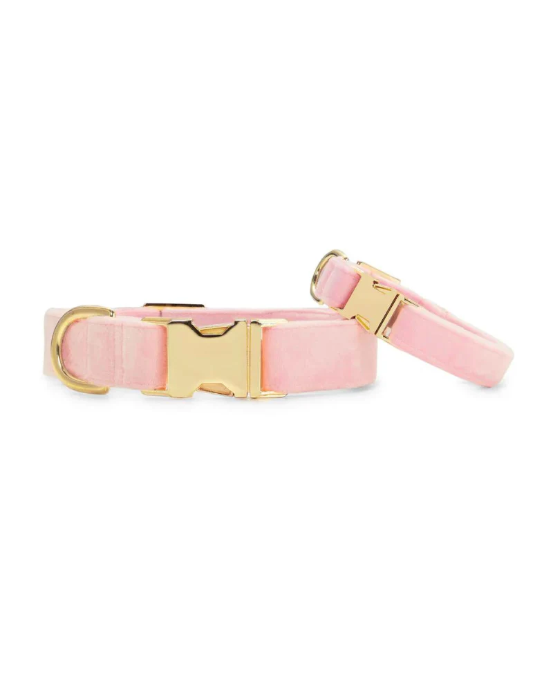 Blush Pink Velvet Dog Collar (Made in the USA) - Image 3